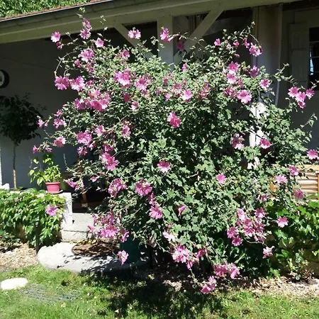 Bed & Breakfast Les Eygletieres 3*