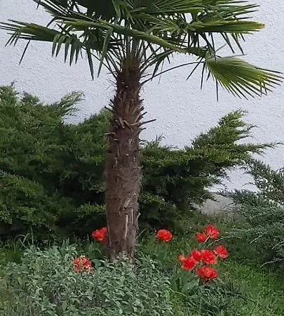Bed & Breakfast Les Eygletieres 3*