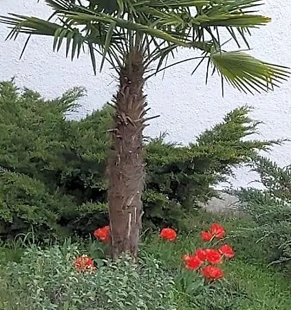 Les Eygletieres