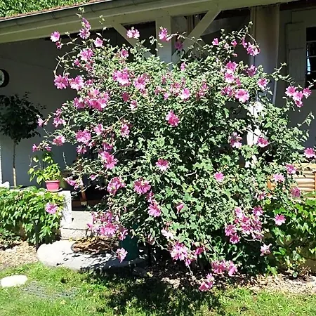 Bed & Breakfast Les Eygletieres Bourriot-Bergonce