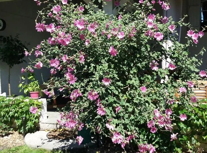 Couette-café Les Eygletières 3*